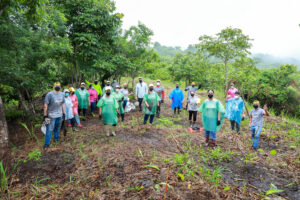 Voluntarios Banistmo - Jornada de Reforestación - Parque Nacional Camino de Cruces