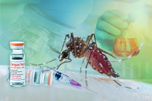 Aedes,Aegypti,Mosquito,With,Vial,Dhf,Vaccine,Concept,For,Vaccine