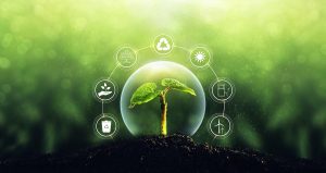 Sources,For,Renewable,,Sustainable,Development.,Environment,And,Ecology,Concept.