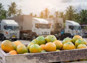 Orange,Fruit,And,Food,Distribution,,Tropical,Fruit,Of,Thailand,.truck