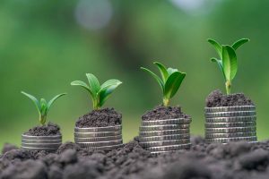Money,Growth,In,Soil,With,Green,Leaves,And,Trees,Concept,