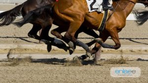 Caballos Pura Sangre_deportecciap