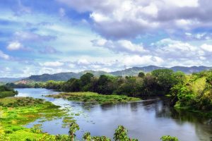 A,Beautiful,Overview,Of,Chagres,National,Park,,Panama.,Rio,Chagres