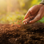 AÑO AGRÍCOLA 2026-2027 PARA LA SEGURIDAD ALIMENTARIA